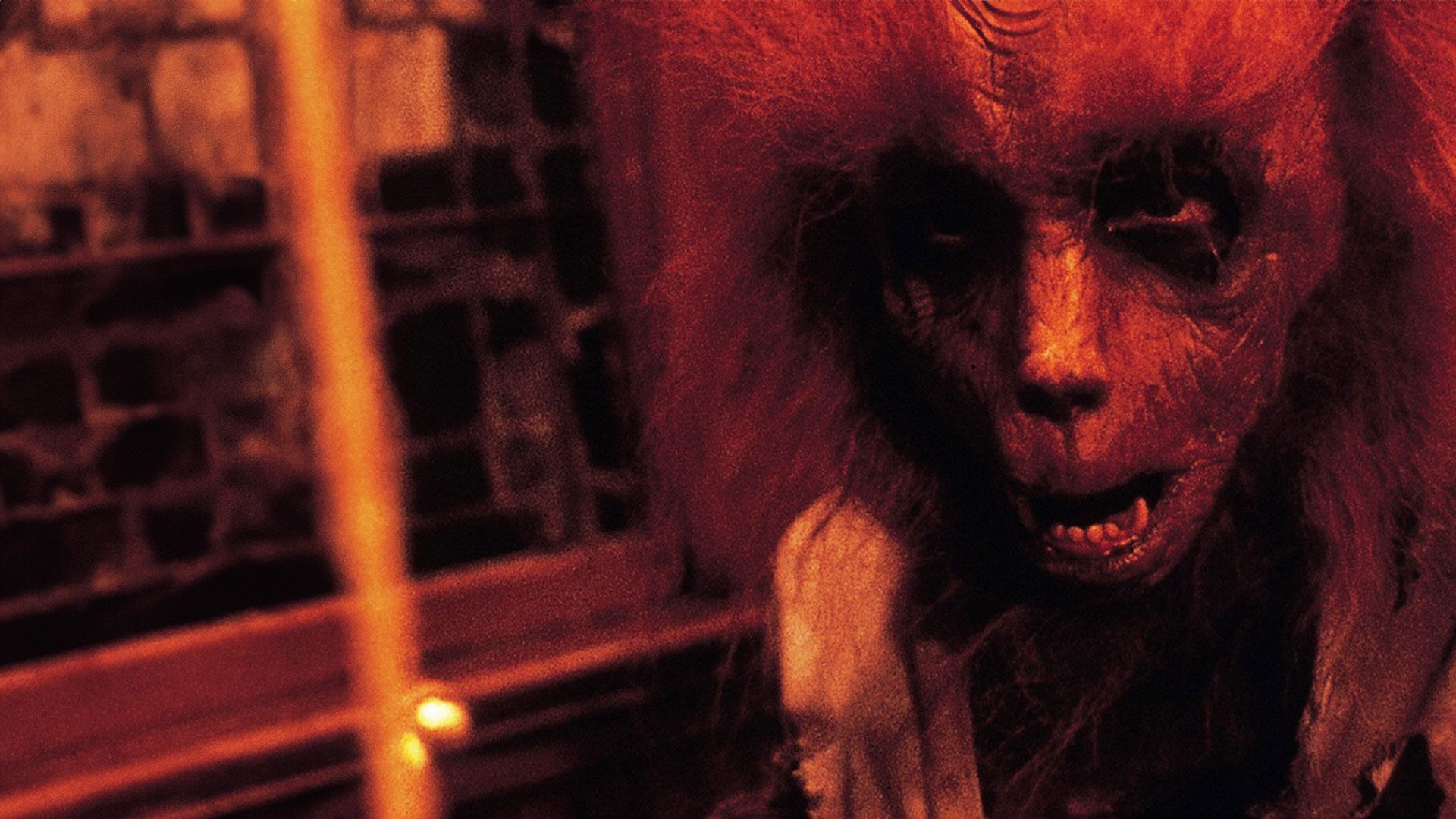 Der Werwolf von Tarker Mills