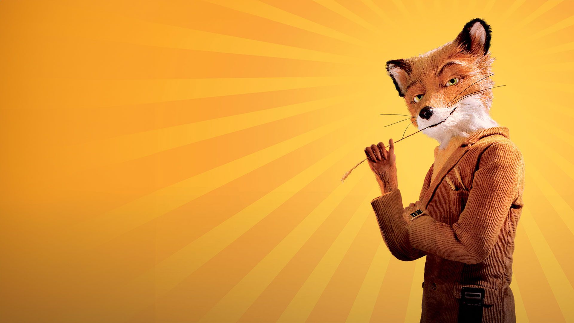 Der fantastische Mr. Fox