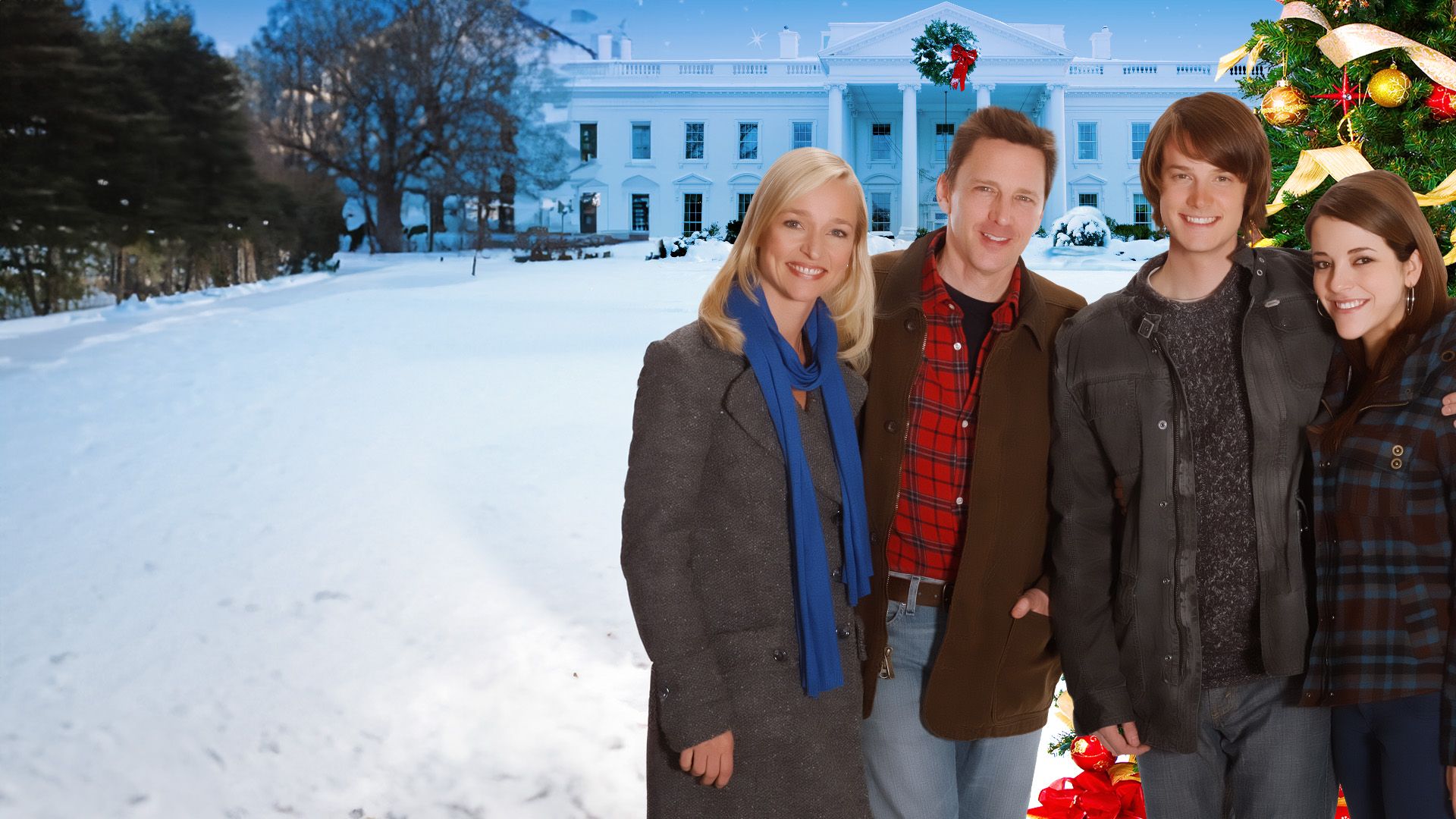 Die Reise des Weihnachtsbaums