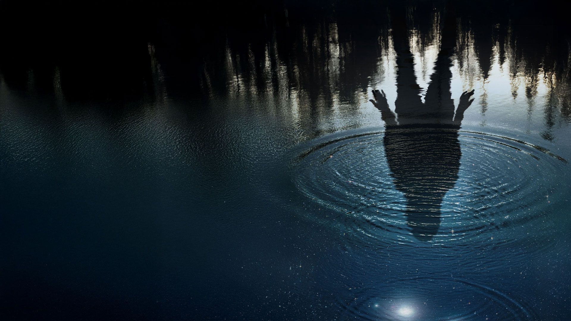 First Light - Die Auserwählte