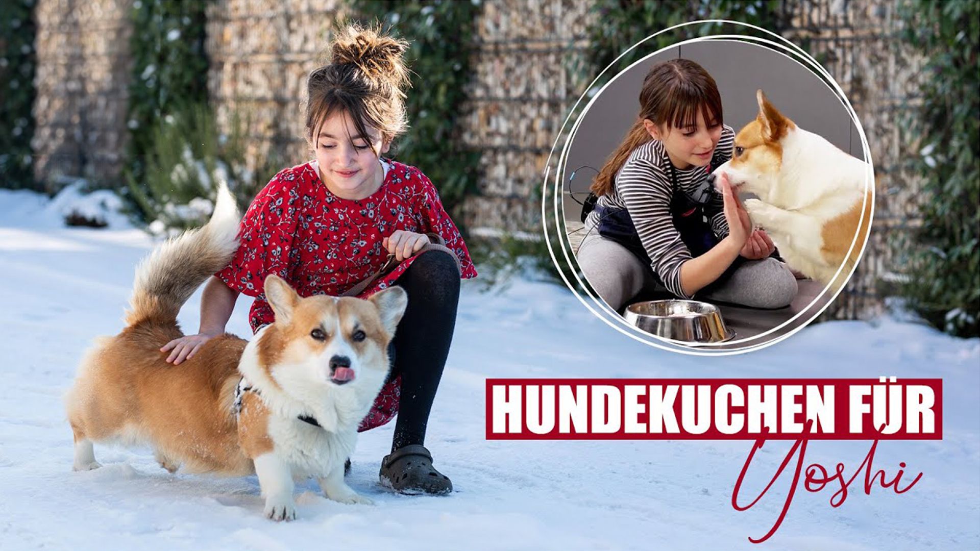 Hundekuchen selber backen / Dog Treat Recipe / Sallys Welt