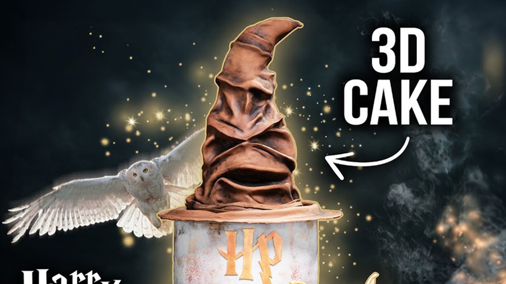 Harry Potter XXL Cake 3D / Motivtorte / Sallys Welt