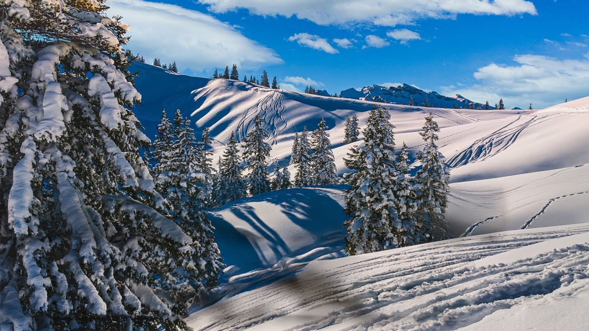 Casino Alpin - Roulette am Berg