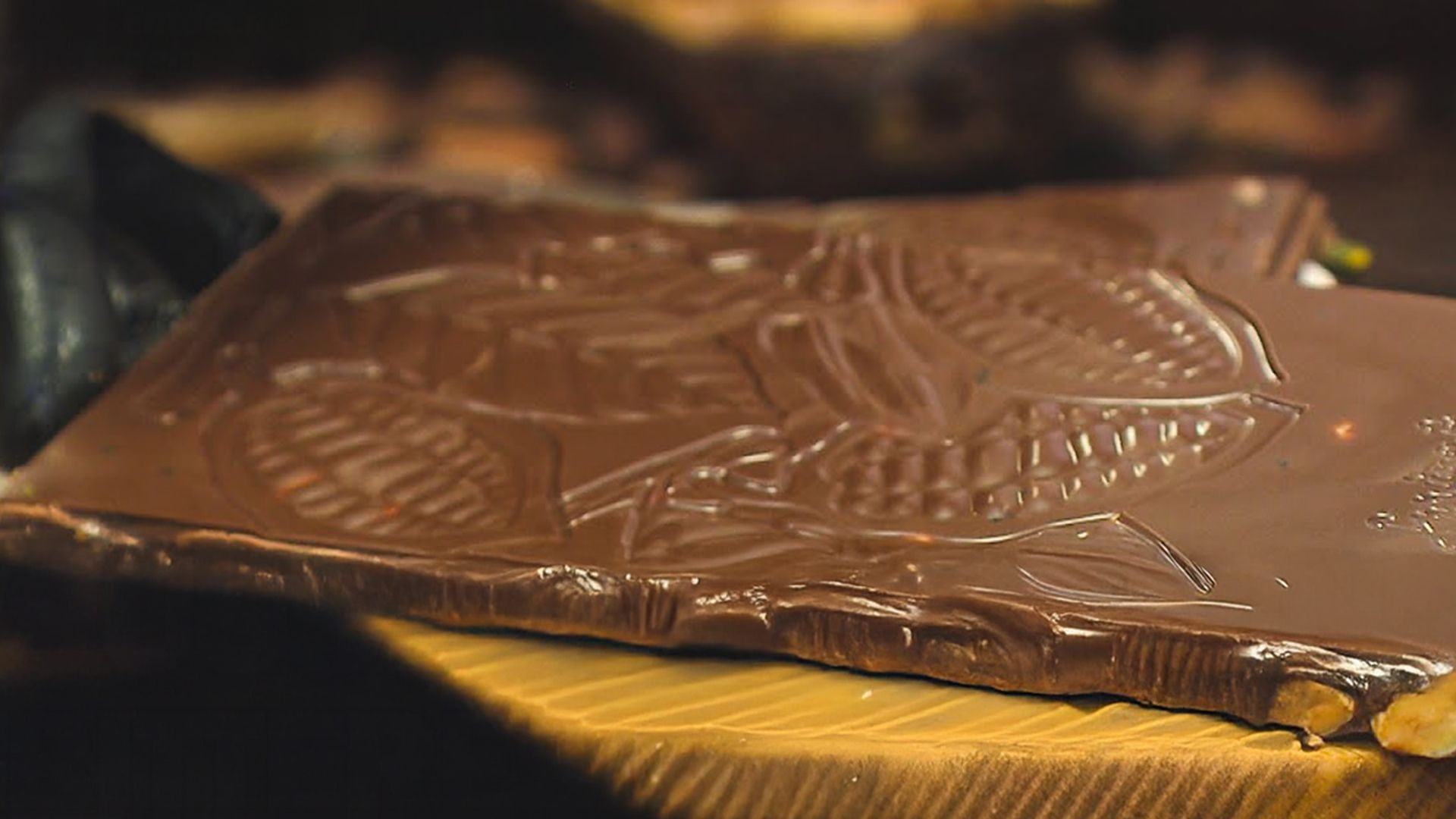 Kampf um den Kakao - Süße Versuchung - Bitteres Geschäft