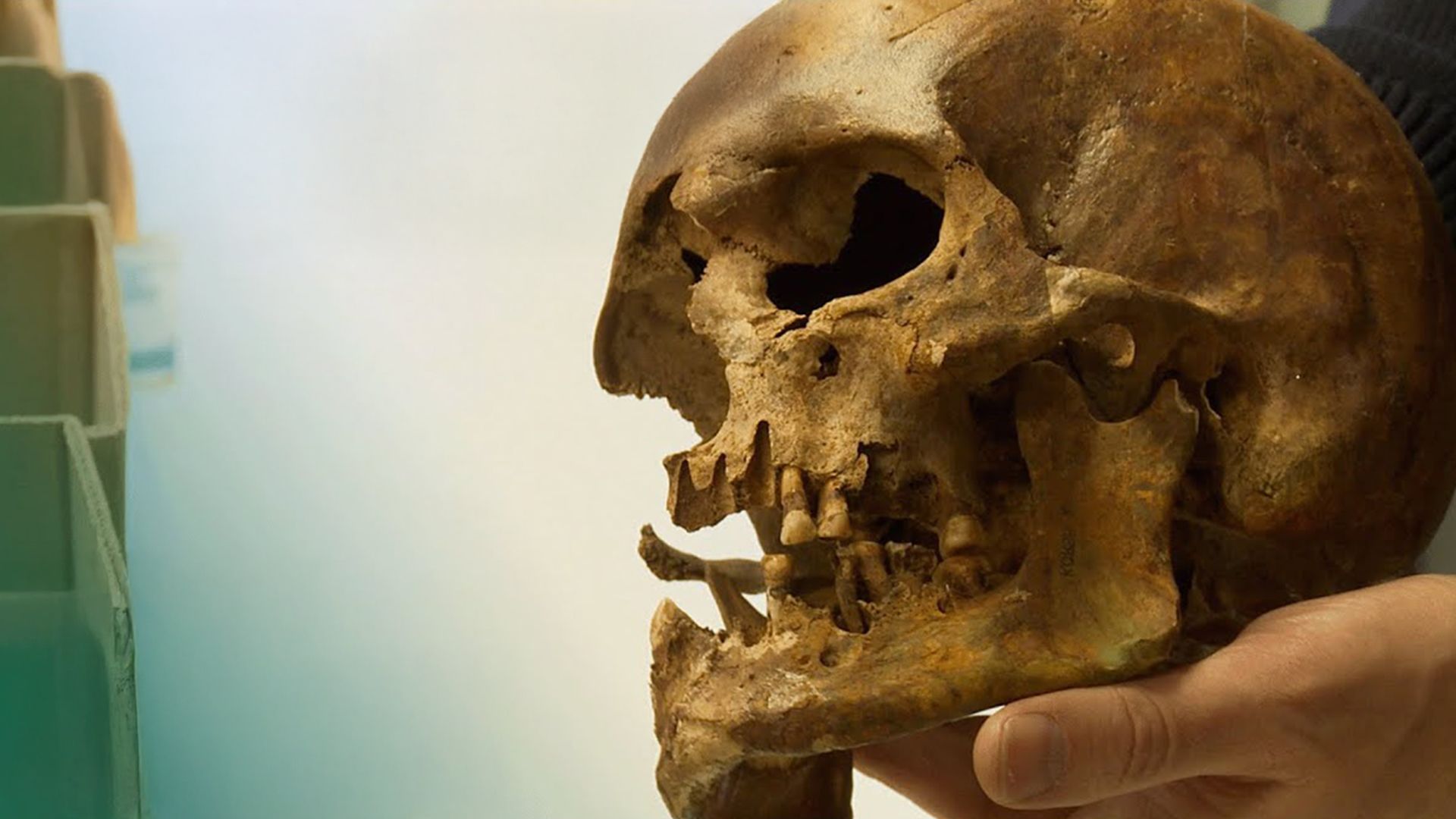 Doku: Massengrab von Visby Schlacht gefunden
