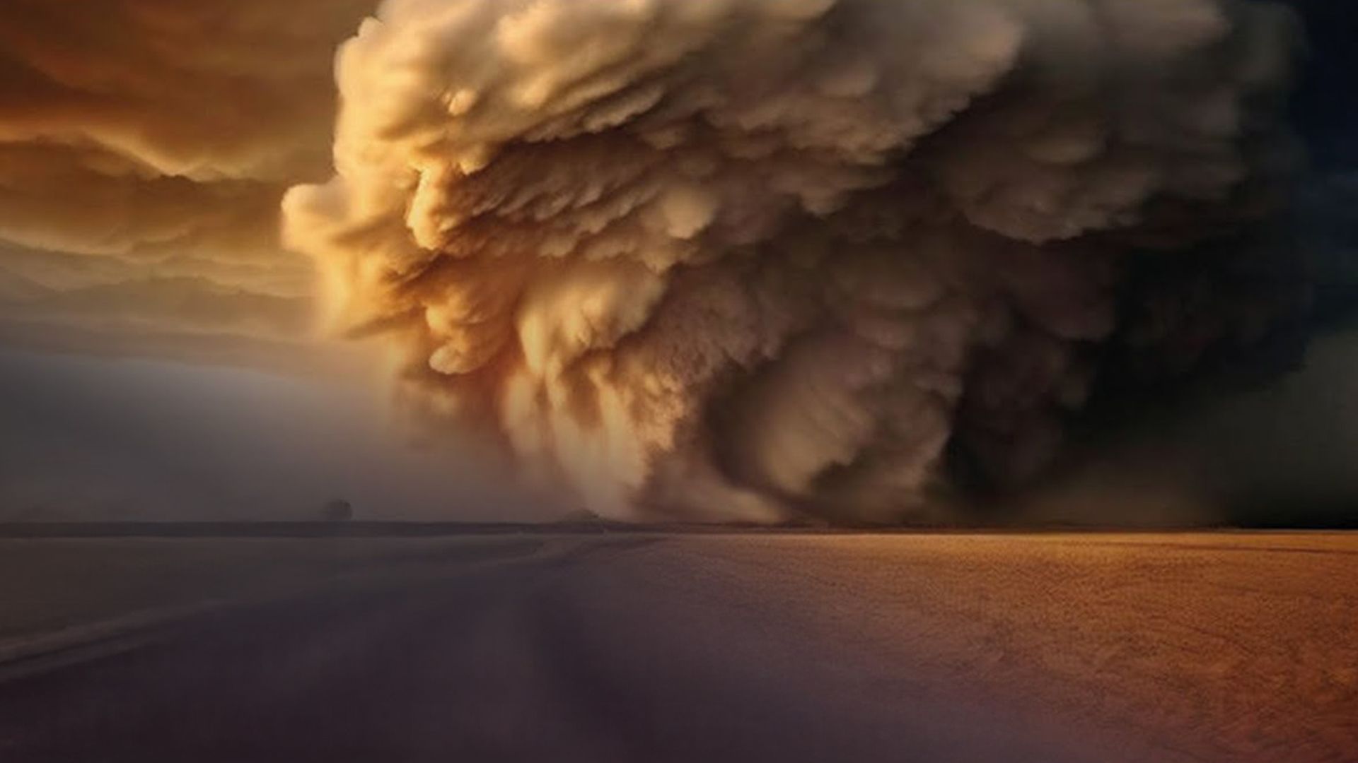 Die Sandsturm-Plage: Chinas Kampf gegen die Wüsten
