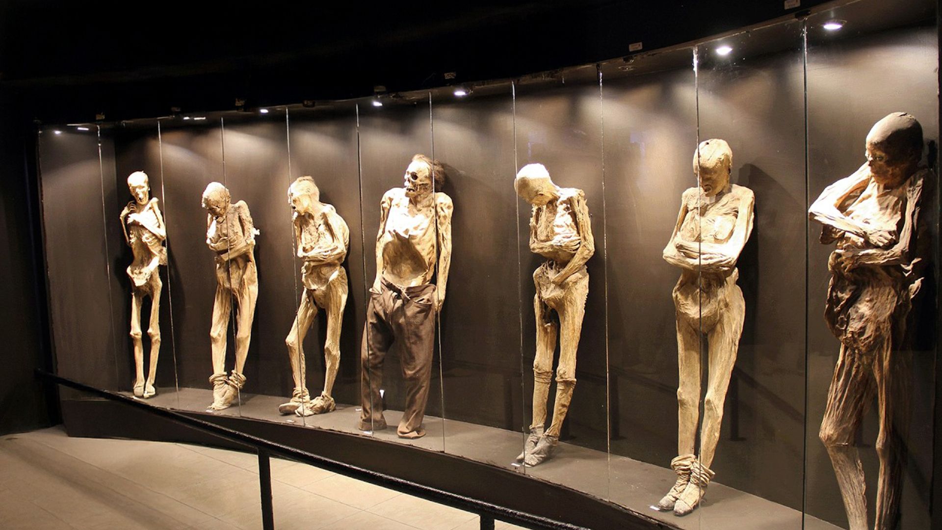 Top 5 Mumien: Die mysteriösesten Funde der Welt | 3.5h Doku