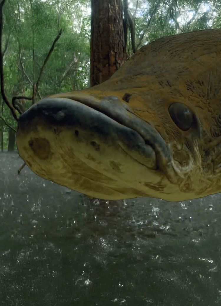 In den Tiefen des größten Regenwalds der Welt
