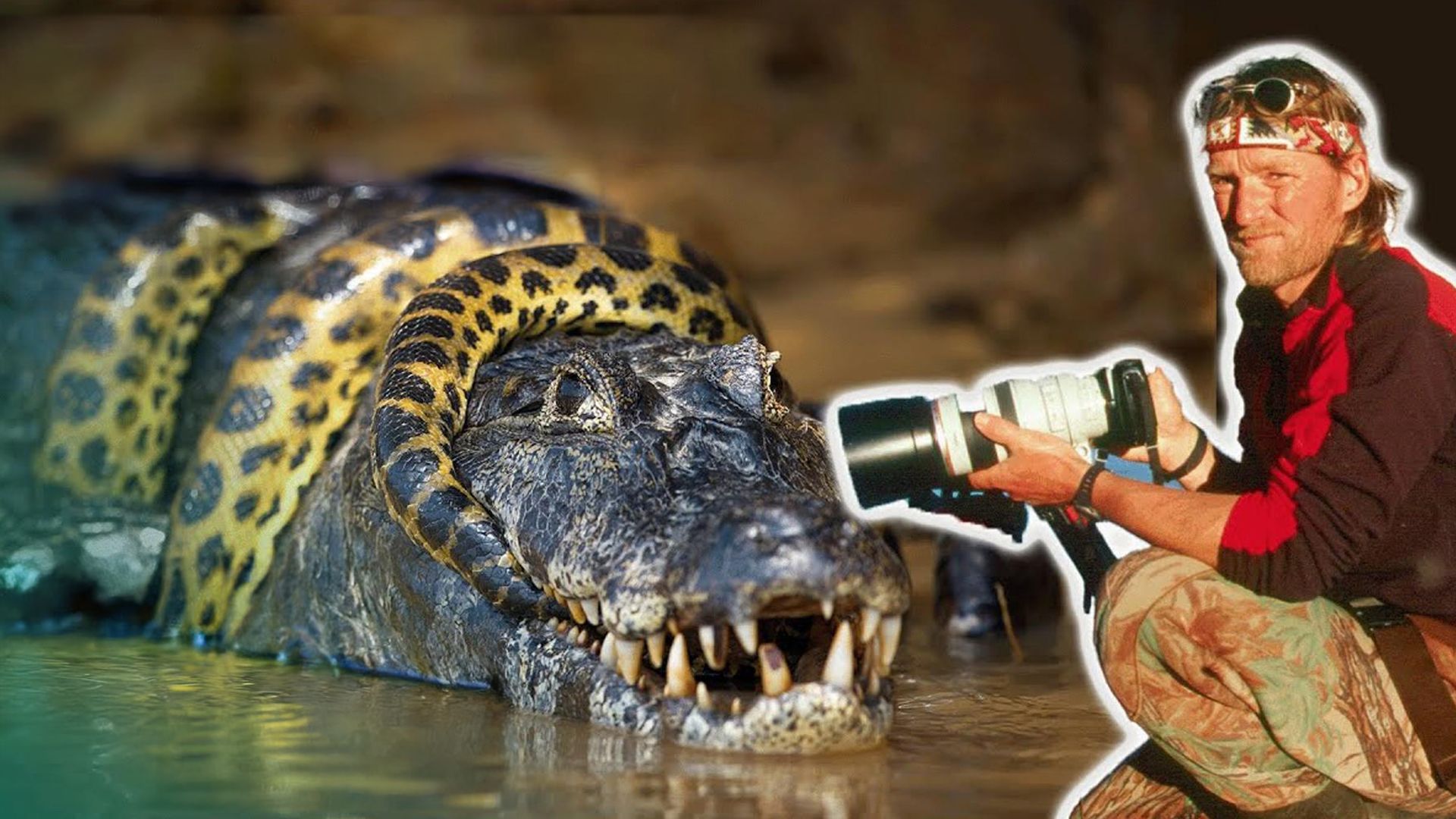 Im Dschungel: Auf der Suche nach der 15 Meter Anakonda | Doku 