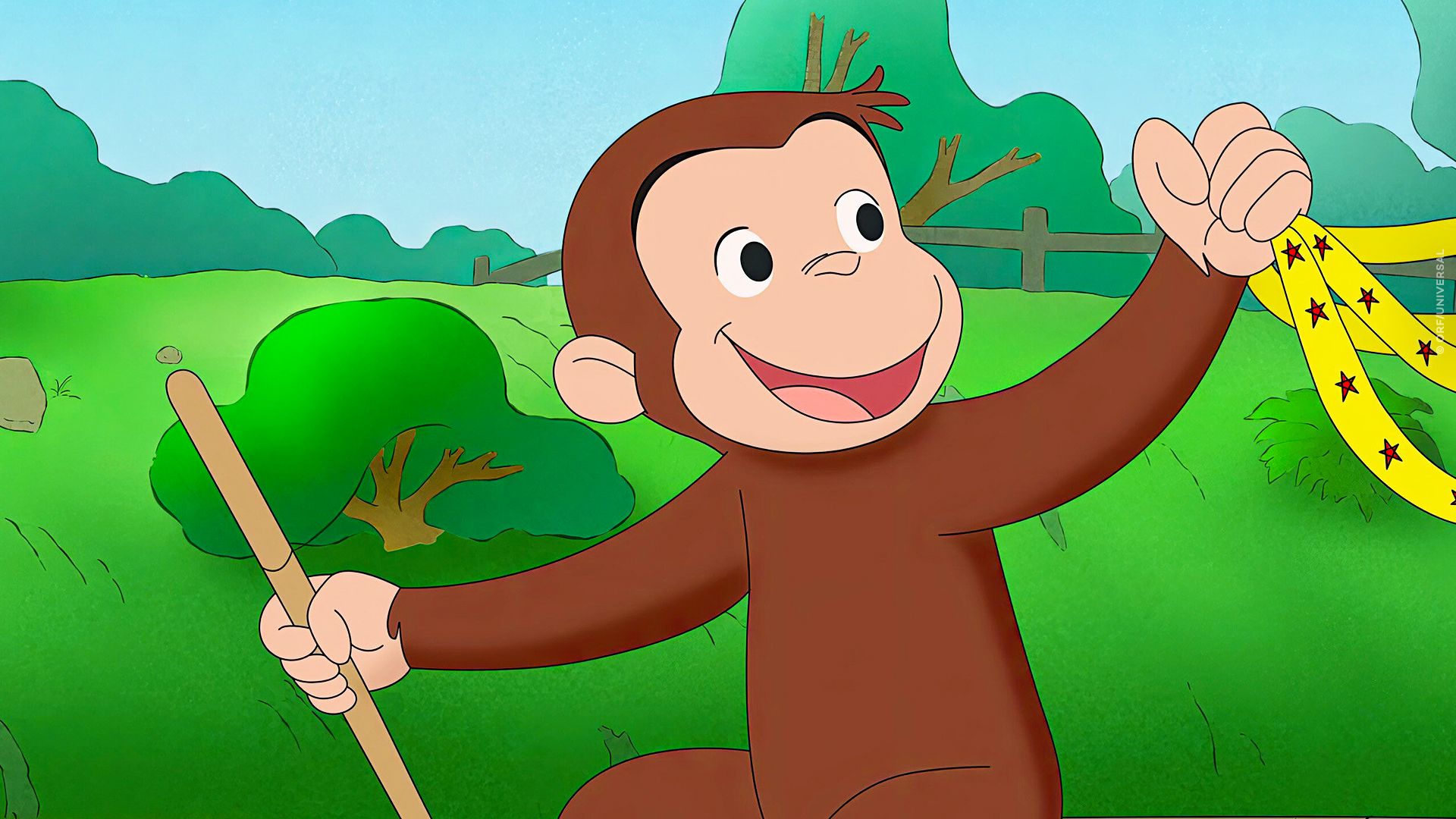 Coco, der neugierige Affe