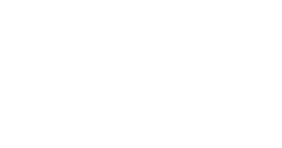 Christmas in Vienna