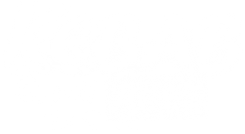 Kebab mit Alles