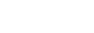 Wahl 24: Was braucht Österreich?