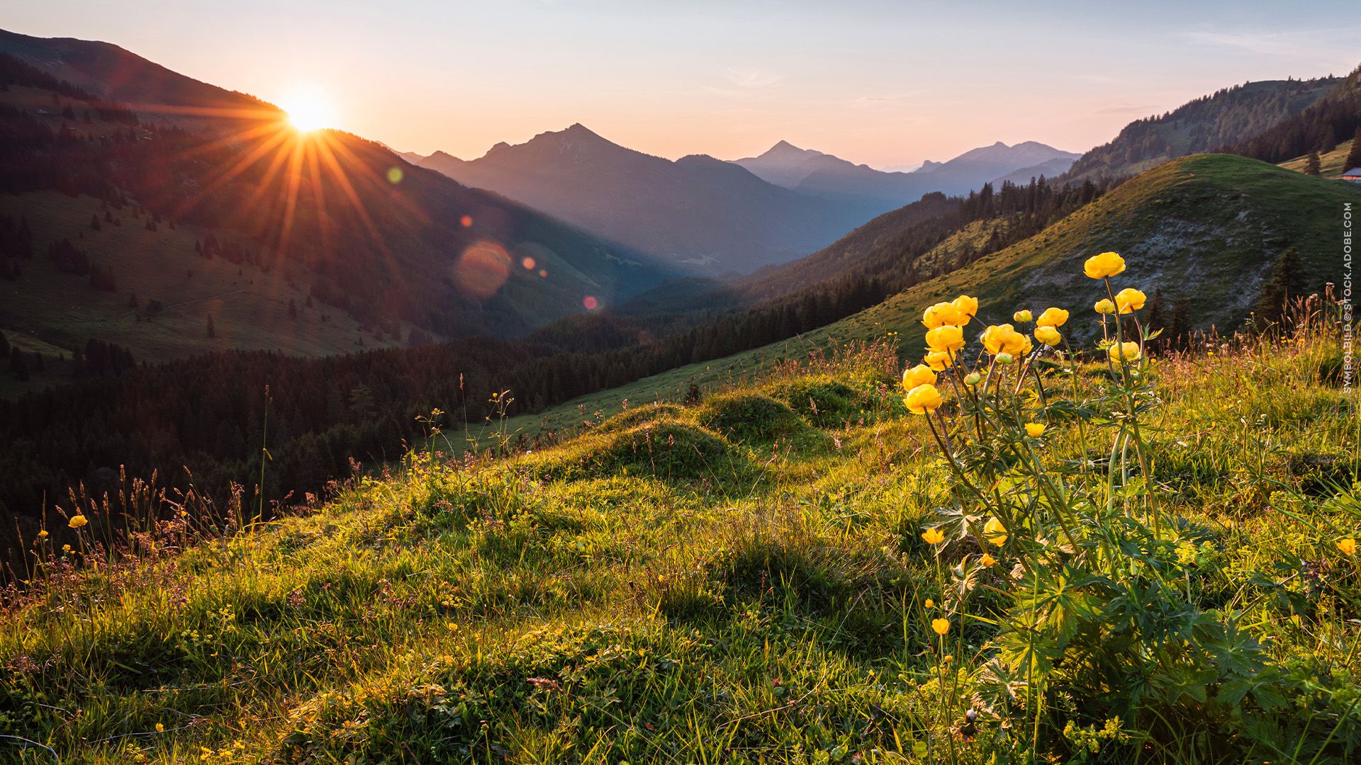 Traditionsreiches Österreich