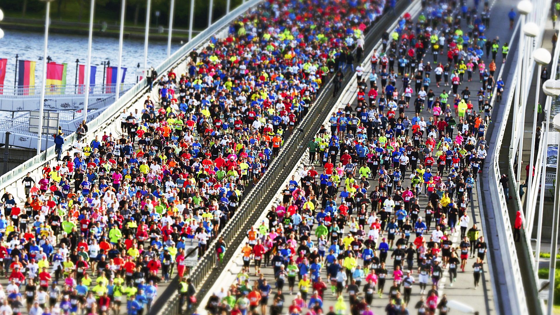 Vienna City Marathon 2024