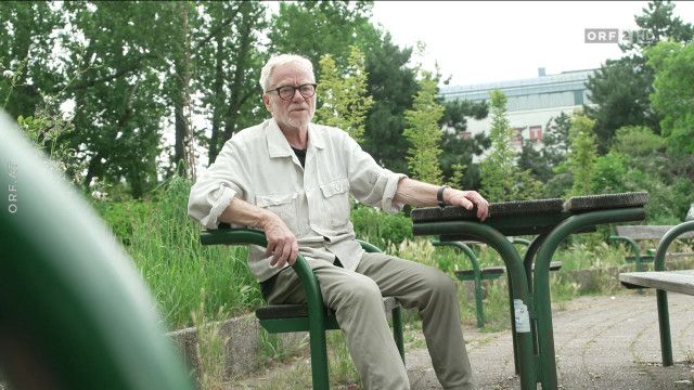 Der papierene Tänzer - Ein Porträt des Künstlers Tone Fink