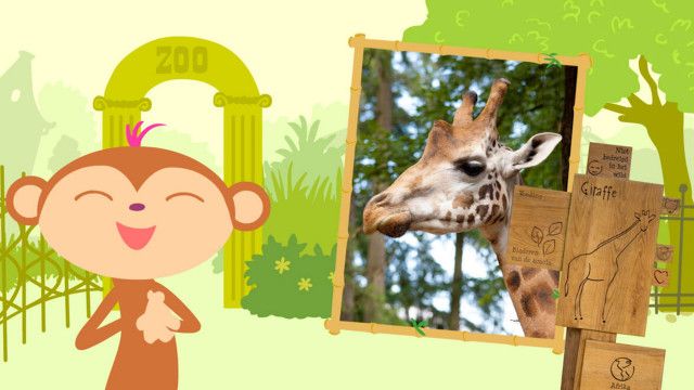 StoryZoo Abenteuer: Abenteuer im Zoo - Giraffe