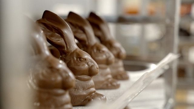 Der Oster-Check: Osterhasen und Schokoeier im Vergleich