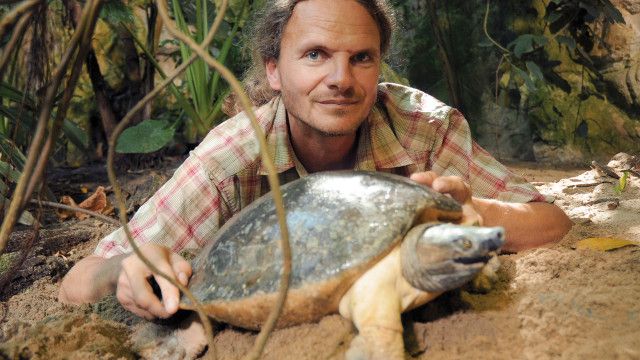 Turtle Hero - Ein Leben für die Schildkröten