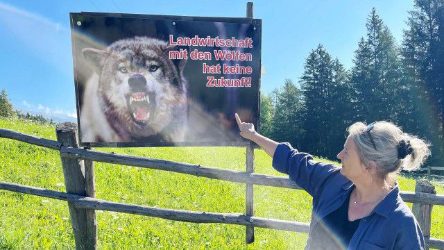 Schutz oder Schuss. Wie umgehen mit Bär und Wolf?