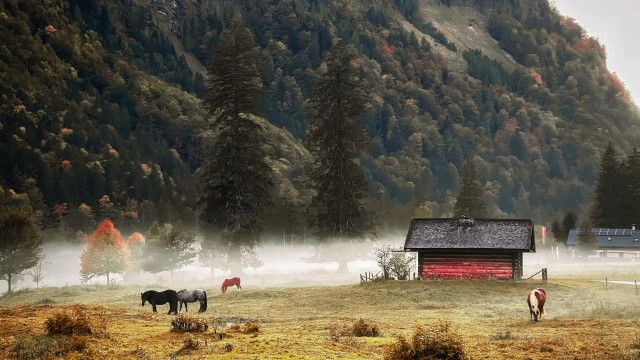 Der Geschmack Europas: Das Salzkammergut