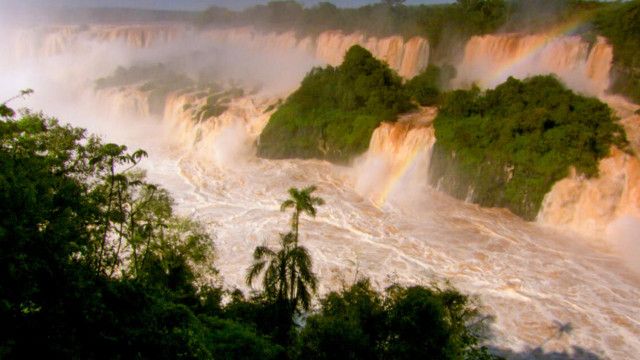 Das Dschungelbuch - Safari: Iguaçu