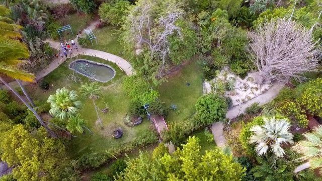 Expeditionen: Traumgärten auf La Réunion - Mit dem Biogärtner auf der Tropeninsel (2/2)