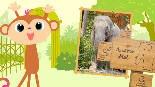 StoryZoo Abenteuer: Abenteuer im Zoo - Elefant