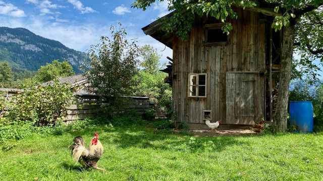 Landleben: Am Wilden Kaiser