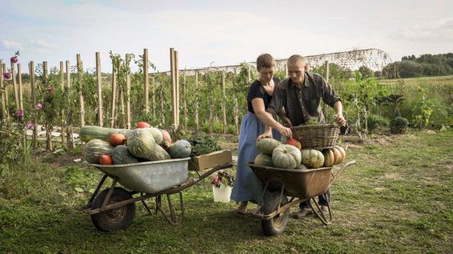 Weites Land: Burgenland