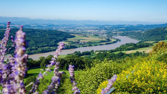 Aufgetischt am Sonntag: Nibelungengau