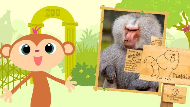 StoryZoo Abenteuer: Abenteuer im Zoo - Pavian