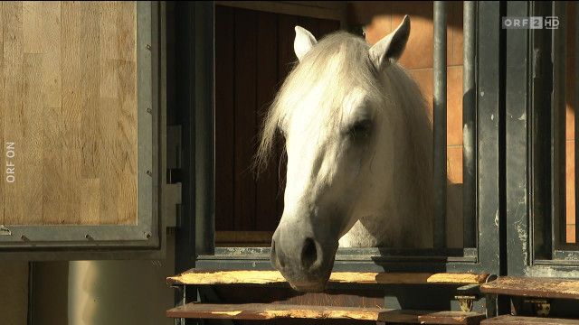 Seitenblicke vom 17.07.2024 - 17.07.2024