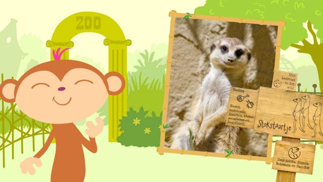 StoryZoo Abenteuer: Abenteuer im Zoo - Erdmännchen