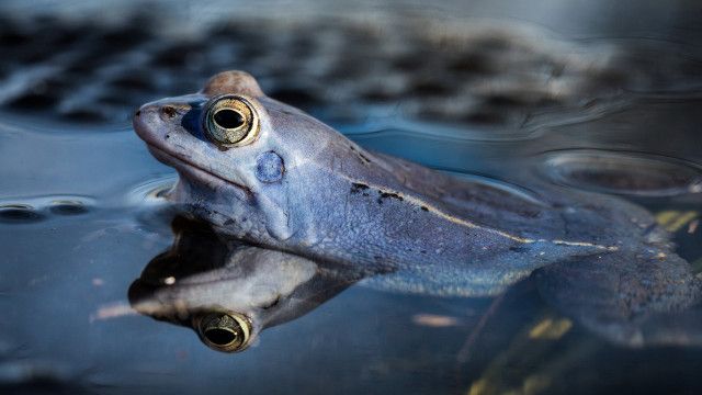 Expeditionen: Österreich - Die Kraft des Wassers 2/2