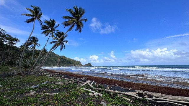 Das Paradies in der Ferne: Dominica - Die Naturinsel in der Karibik