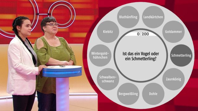 Smart10 - Das Quiz mit den zehn Möglichkeiten - 26.08.2024