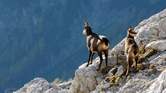 Expeditionen: Eisenwurzen - Geheimnisvolles Land