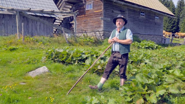 Land der Berge: Almen in Niederösterreich