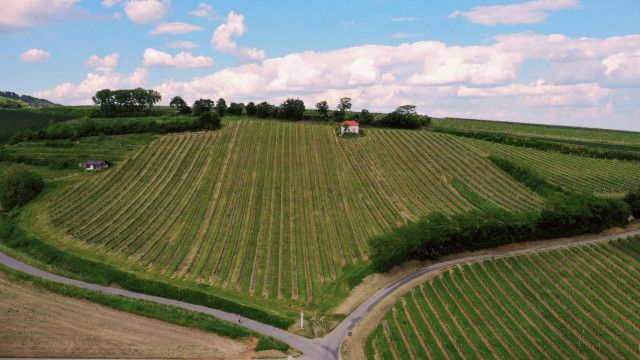 Land der Berge: Vom Sonnenberg zum Goldberg - Wandern am Bernsteintrail