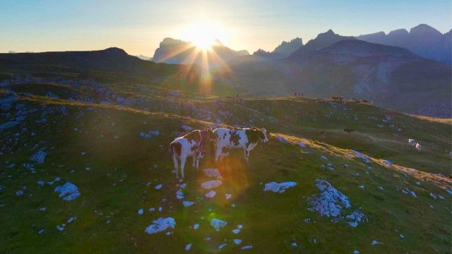 Heimat Österreich: Almsommer rund um die Dolomiten