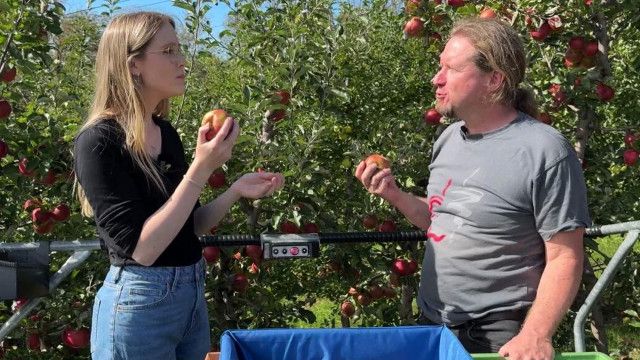 Hallo, was machst Du?: Obstbauer