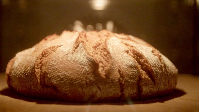 Themenmontag: Achtung Billig-Brot