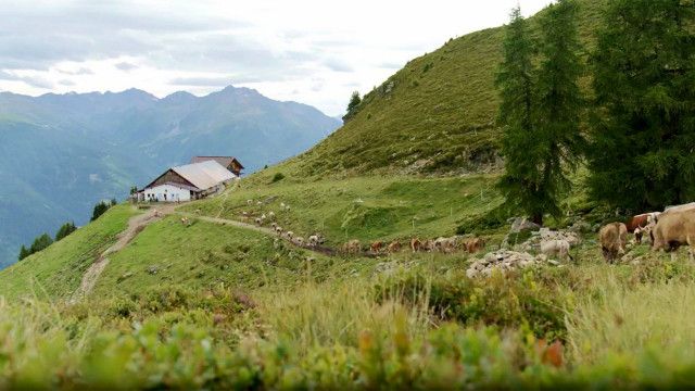 Heimat Österreich: Im Samnauntal