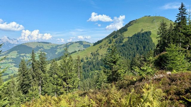 Heimat Österreich: Auf der Hohen Salve