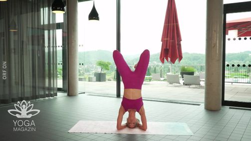 Yoga Magazin Yoga Magazin Folge 263: Yoga Magazin: Folge 243 - 14.11.2024