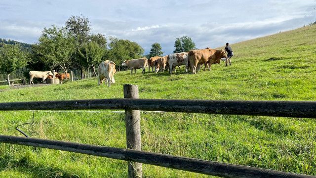 Heimat Österreich: Im oberösterreichischen Ennstal