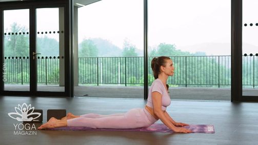 Yoga Magazin Yoga Magazin Folge 272: Yoga Magazin: Folge 237 - 28.11.2024