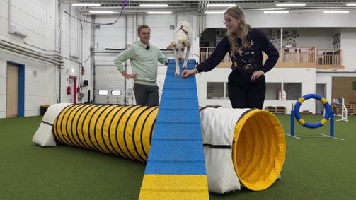 Hallo, was machst Du? Hallo, was machst Du? Folge 30: Hallo, was machst Du?: Hundetrainer