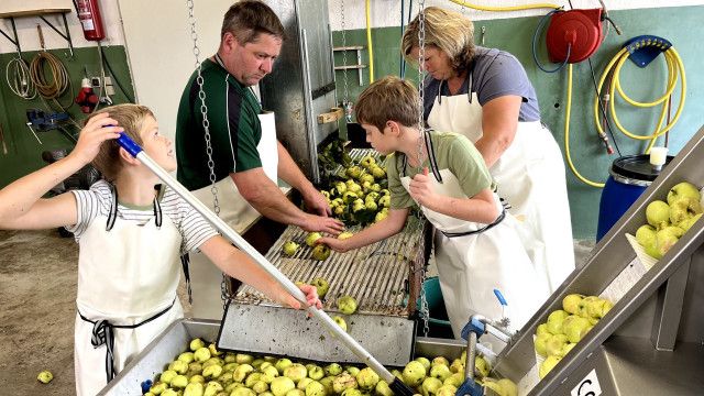 Österreich-Bild: Zwischen Sensenschmieden und Putenbauern - Leben im oberösterreichischen Ennstal